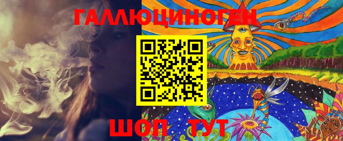 Псилоцибиновые грибы Psilocybe Шебекино