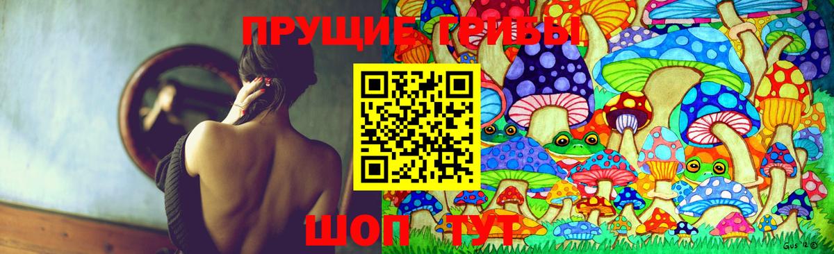 Шебекино  Галлюциногенные грибы Cubensis  купить   Вход с VPN 
